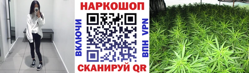 Виды наркоты Елизаветинская СОЛЬ Псилоцибиновые грибы ГАШИШ Cocaine Мефедрон