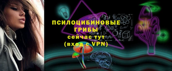хмурый Вяземский
