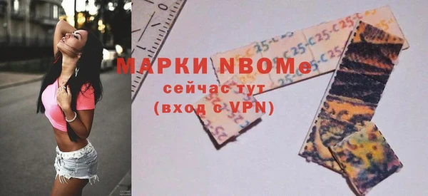 хмурый Вяземский