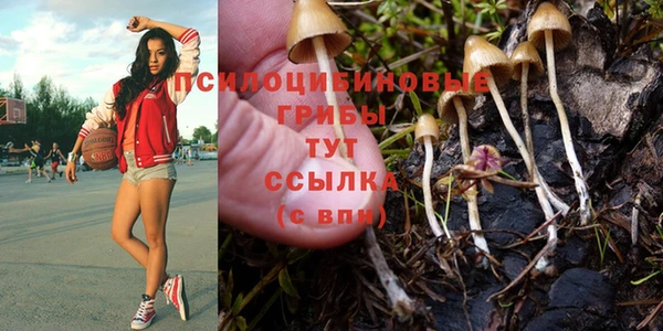 2c-b Вязники