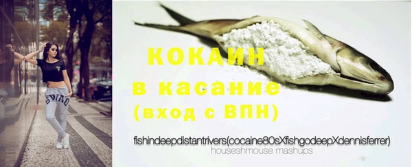 индика Горняк