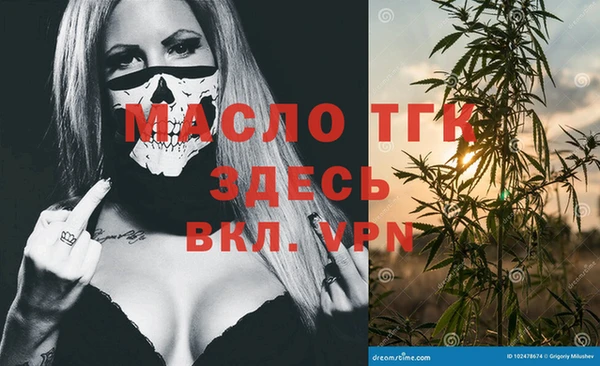 хмурый Вяземский