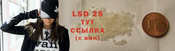 хмурый Вяземский