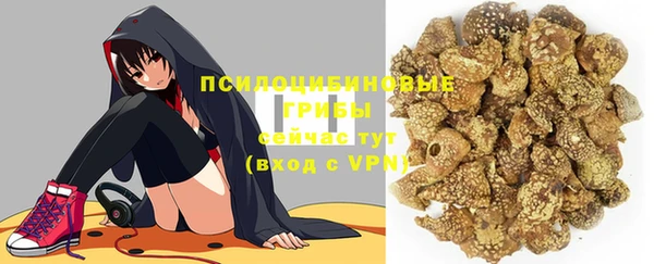 индика Горняк