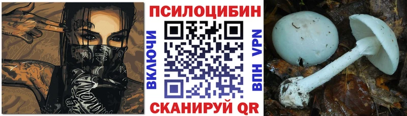 даркнет формула  Елизаветинская  Галлюциногенные грибы GOLDEN TEACHER 