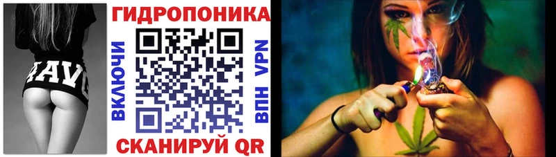 Каннабис Amnesia  Елизаветинская 